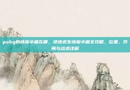 pubg的情报小屋在哪，绝地求生情报小屋全攻略，位置、作用与战术详解