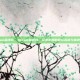 steam金钱码，Steam金钱码，玩家必知的避坑指南与省钱秘籍
