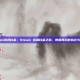 steam游戏白金，Steam 成就白金之路，数据背后的执念与狂欢