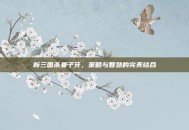 新三国杀姜子牙，策略与智慧的完美结合