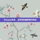 Steam功夫，虚拟武术的现代演绎