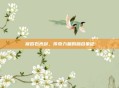 狱岩石光剑，传奇力量的融合象征