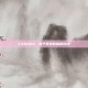 CSGO24，电子竞技的巅峰对决