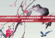 pubg毒圈伤害多少，PUBG毒圈伤害全解析，各阶段掉血数值与生存技巧