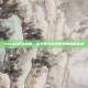 Steam夜促盛典，探索数字游戏世界的超值优惠