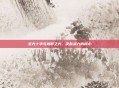 圣光十字与信仰之光，决胜战力的核心