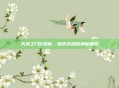 天地之门2揭秘,探索未知的神秘面纱