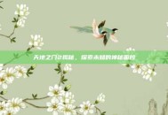 天地之门2揭秘，探索未知的神秘面纱