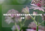 穿越火线（CF）端游退出语音聊天的方法步骤详解