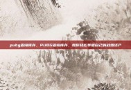 pubg查询库存，PUBG查询库存，教你轻松掌握自己的战场资产