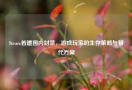 Steam若遭国内封禁，游戏玩家的生存策略与替代方案