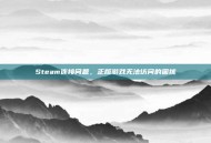 Steam连接问题，正版游戏无法访问的困扰