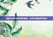 揭秘PUBG账号真伪鉴定，安全与隐私的平衡术