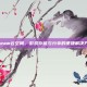 Steam云空间，游戏存储与分享的便捷解决方案