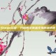 Steam认证，开启数字商品交易的金钥匙