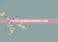 火炬之光2漂泊者双枪角色解析与攻略