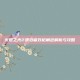 火炬之光2漂泊者双枪角色解析与攻略