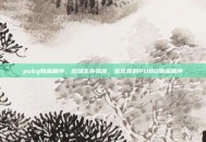 pubg物品顺序，战场生存指南，优化你的PUBG物品顺序