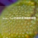 Steam，Valve打造的全球游戏帝国