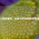 CF潮流服饰，品质与时尚的极致碰撞