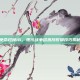 使命召唤16，现代战争铝热剂投掷技巧揭秘