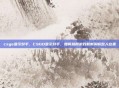 csgo显示对手，CSGO显示对手，如何利用游戏机制洞察敌人位置