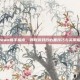 Steam新手指南，领取游戏后必备技巧与实用指南