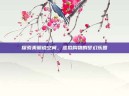 探索美丽说空间，虚拟购物的梦幻乐园
