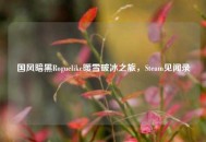 国风暗黑Roguelike暖雪破冰之旅，Steam见闻录