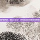 怎么保护前列腺，别让它发炎！男性必读的日常前列腺保护指南