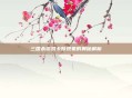 三国杀游戏卡顿现象的奥秘解析