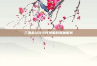 三国杀游戏卡顿现象的奥秘解析