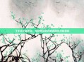 飞车贪吃鼠套装，激情智慧融合的趣味竞技新选择