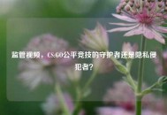 监管视频，CS:GO公平竞技的守护者还是隐私侵犯者？