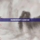英雄联盟玩家个人资料介绍