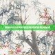 揭秘929666激活码免费获取的秘诀