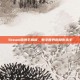 Steam腐蚀手机版，数字世界的隐形杀手