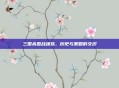 三国杀国战魂殇,历史与策略的交织