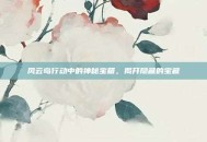 风云岛行动中的神秘宝箱，揭开隐藏的宝藏