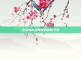 勿忘我存档损坏的修复之旅