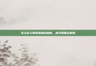 龙之谷元素职业加点指南，高效策略全解析