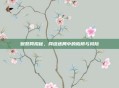 贼奶网揭秘,网络迷局中的陷阱与风险