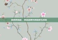 贼奶网揭秘，网络迷局中的陷阱与风险