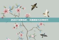 逆战QT修复指南，全面解析与实用技巧
