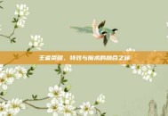 王者荣耀，特效与魔术的融合之旅