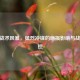 CSGO战术风暴，猛烈冲锋的磨损影响与战局掌控