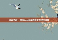 金龙之谜，探索tmp金龙的传奇与现代价值