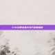 CSGO呼出指令技巧掌握指南