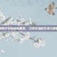鹿鼎记中的跑商智慧，江湖交易的艺术与策略