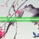 绝地求生，狼主之道揭秘成为顶级玩家的秘诀